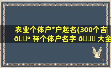 农业个体户*
户起名(300个吉 🐺 祥个体户名字 🐒 大全)